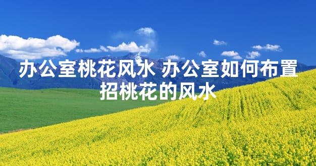 办公室桃花风水 办公室如何布置招桃花的风水